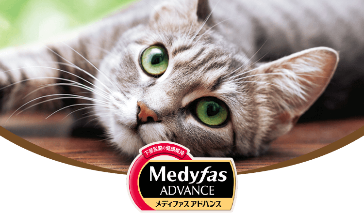 Medyfas