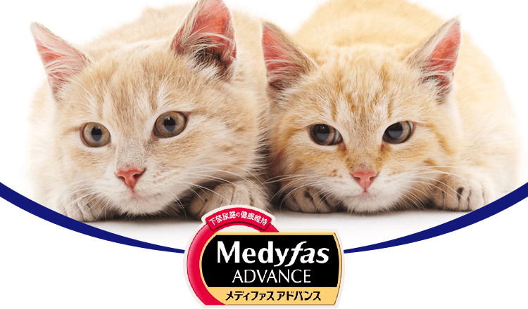 Medyfas