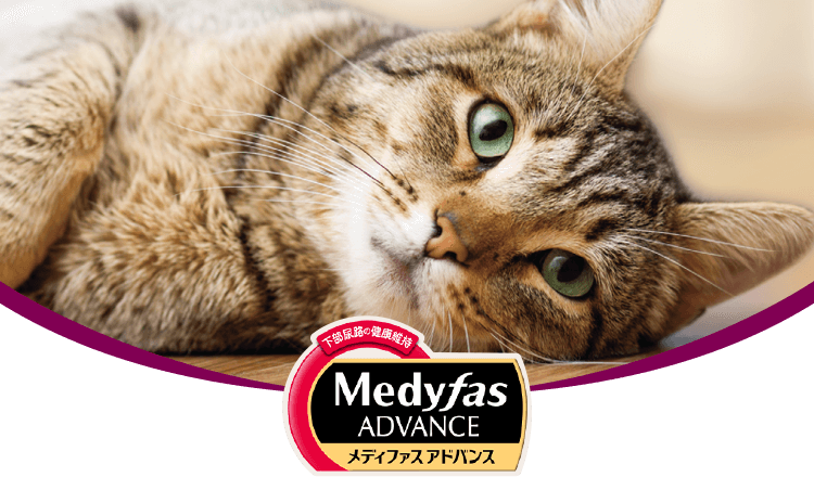 Medyfas