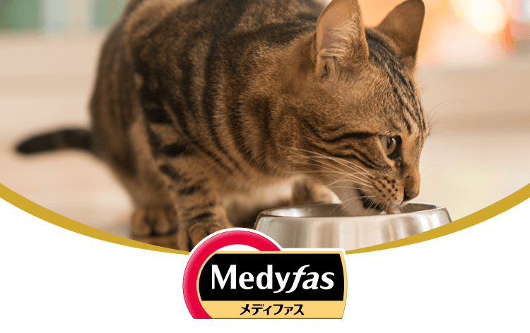 Medyfas