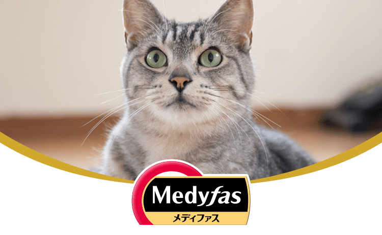 Medyfas
