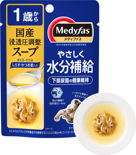 商品写真：メディファススープ［１歳から］