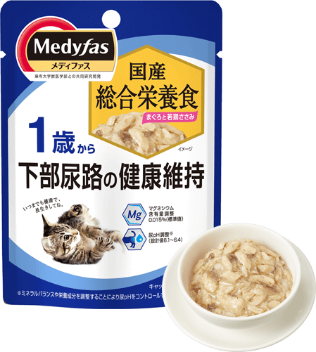 商品写真：メディファスウェット［１歳から］