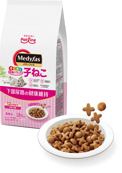 商品写真：メディファス［子ねこ／12か月まで］