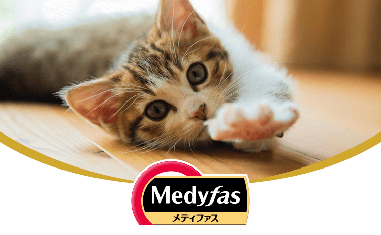 Medyfas