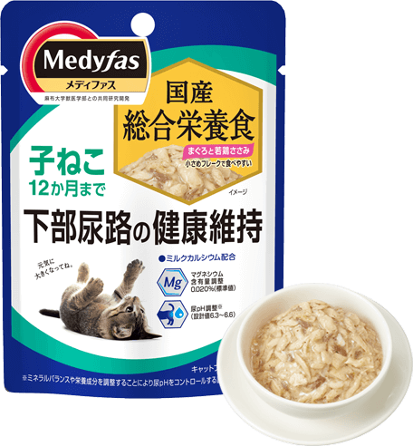 商品写真：メディファスウェット　［子ねこ／12か月まで］