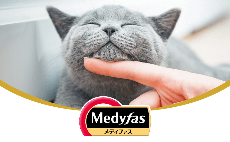 Medyfas