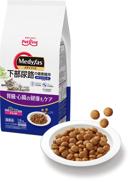 商品写真：メディファス［１１歳から］