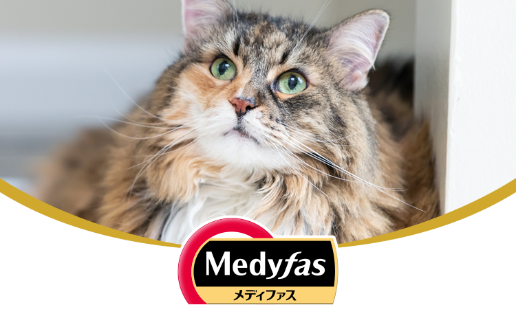 Medyfas