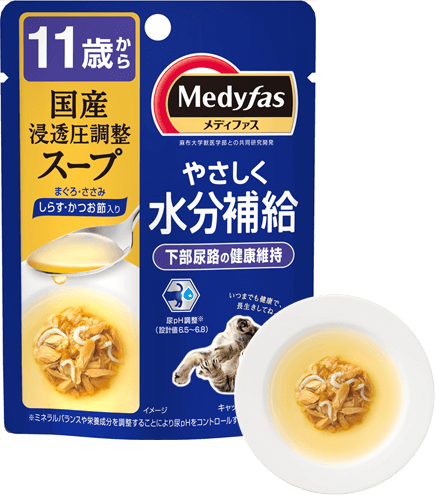 商品写真：メディファススープ［１１歳から］