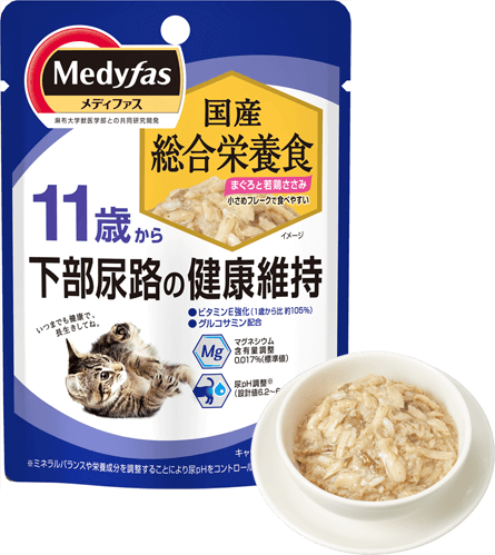 商品写真：メディファスウェット［１１歳から］