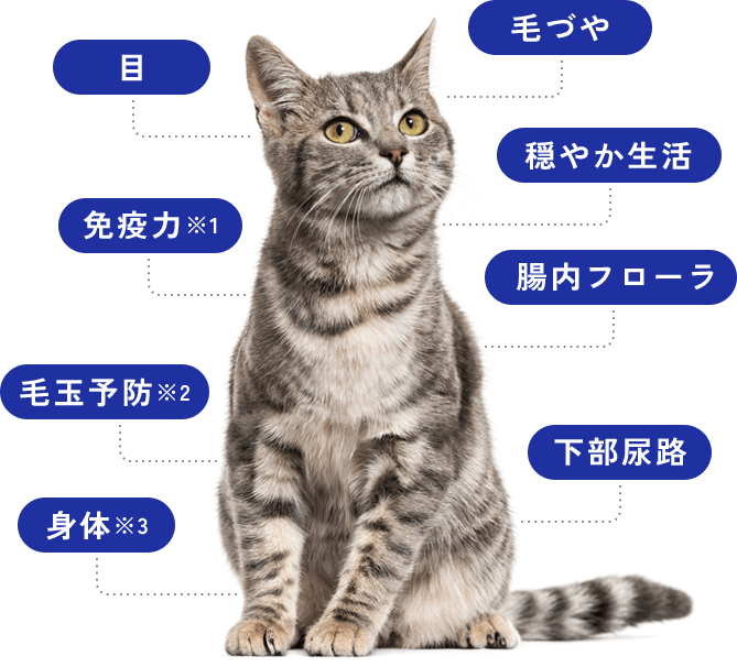 8つの項目解説図