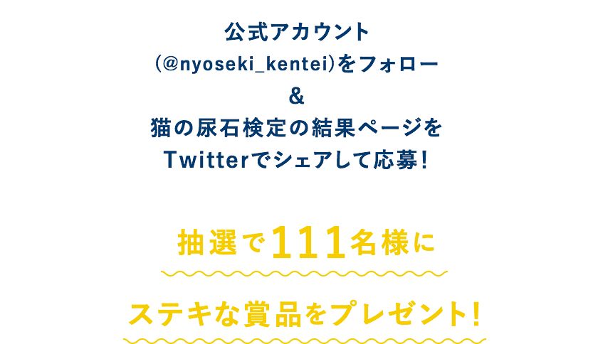 公式アカウント
(@nyoseki_kentei)をフォロー＆猫の尿石検定の結果ページをTwitterでシェアして応募！抽選で111名様にステキな賞品をプレゼント！