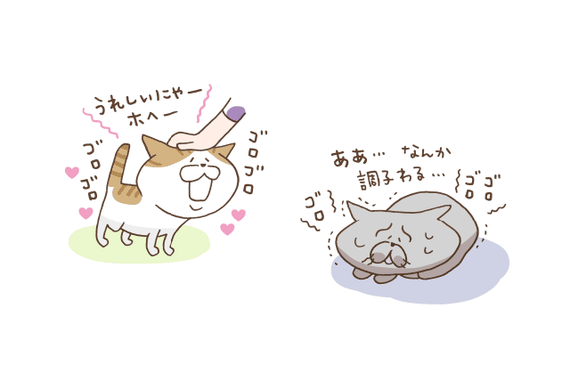 言う 猫 グルグル