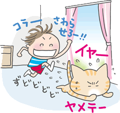 子猫を迎える準備2 環境づくり ６ ２０ 教えて猫ノート 猫のお悩みスッキリ解決 ペットライン