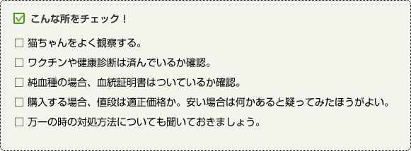 こんな所をチェック！