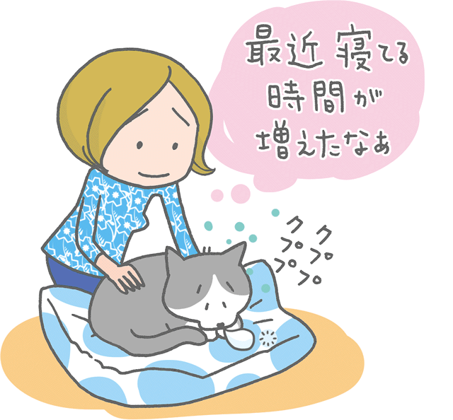 猫の老化現象ってどんなもの？（１／５） - 老猫と暮らす｜教えて猫 