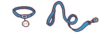 子犬を迎える準備 必要なもの 子犬の飼い方 教えて犬ノート ペットライン