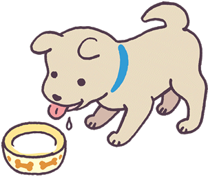 なぜ 年齢に応じたフードが必要なの 犬のライフステージと食事 教えて犬ノート ペットライン