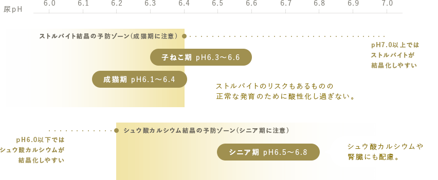 年齢・ライフステージに応じた適切な尿pH値