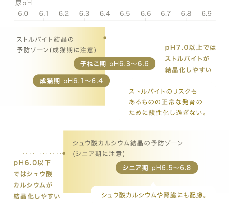 年齢・ライフステージに応じた適切な尿pH値