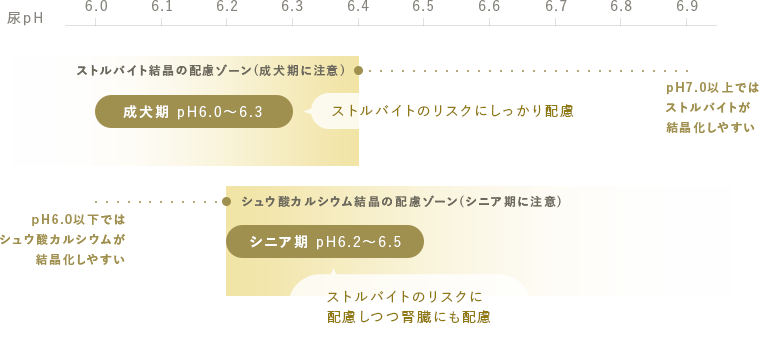 年齢・ライフステージに応じた適切な尿pH値