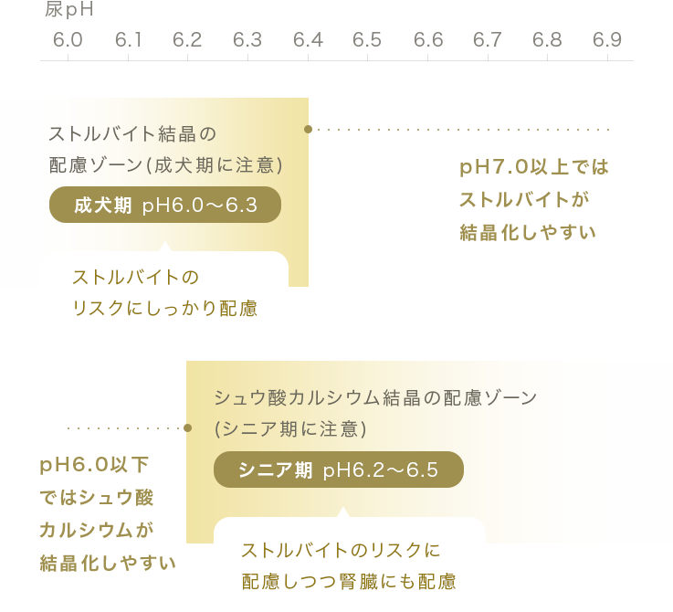 年齢・ライフステージに応じた適切な尿pH値