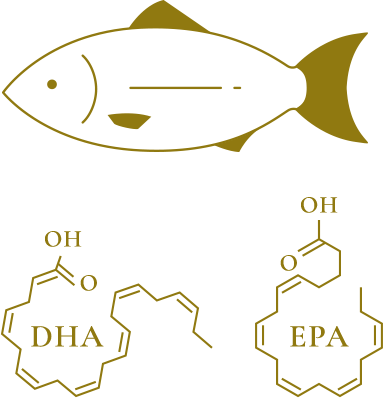 DHA・EPAの成分