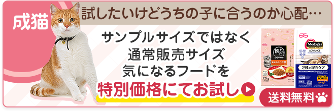 獣医師監修 猫の体臭 おしりの臭いが気になる時はどうしたらいいの 猫のニオイ対策 教えて猫ノート ペットライン