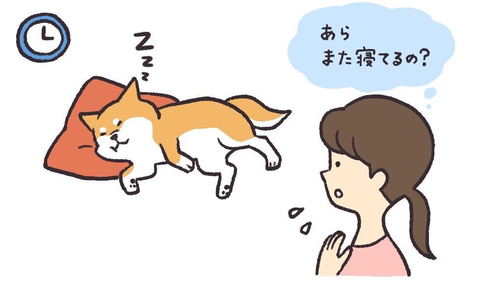 犬_202309_新規記事_02_犬 睡眠時間_イラスト_アイキャッチ_FIX.jpg