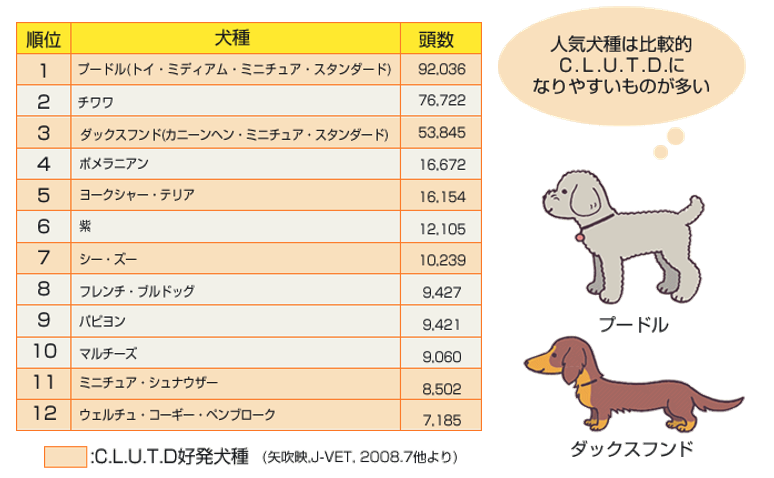 食事でできるワンちゃんの下部尿路疾患 C L U T D 対策 犬の下部尿路疾患 C L U T D って 教えて犬ノート ペットライン