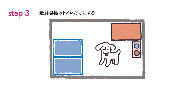 02子犬のトイレトレーニング方法・誘導の仕方は？3.gif