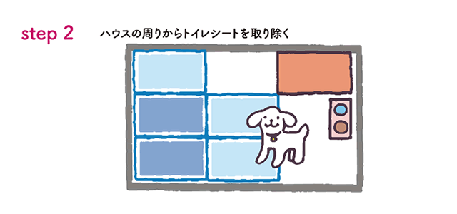 02子犬のトイレトレーニング方法・誘導の仕方は？2.gif