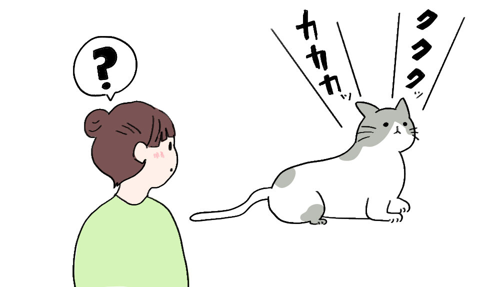 2月_猫ノート_新規記事_06_猫 クラッキング_イラスト本番.jpg