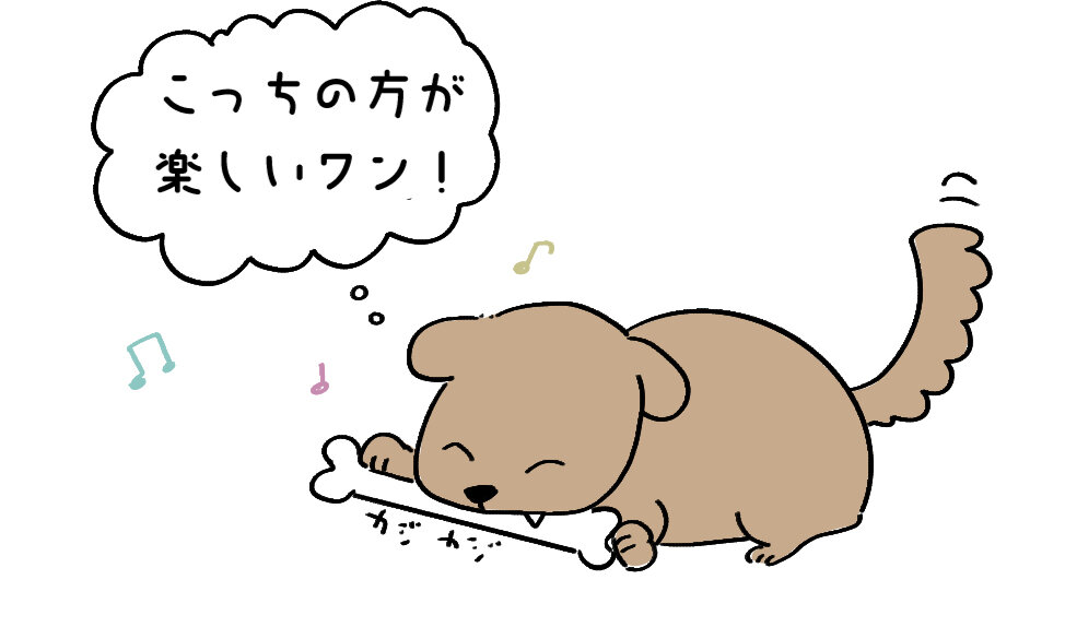 2月_犬ノート_新規記事_06_犬 噛み癖_イラスト本番_文字修正.jpg