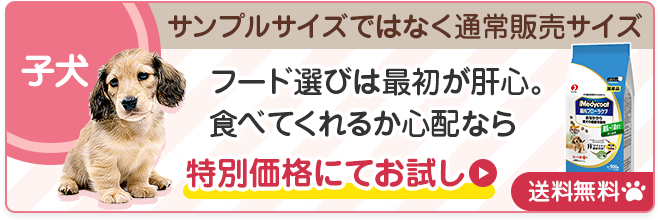子犬を迎える準備 必要なもの 子犬の飼い方 教えて犬ノート ペットライン