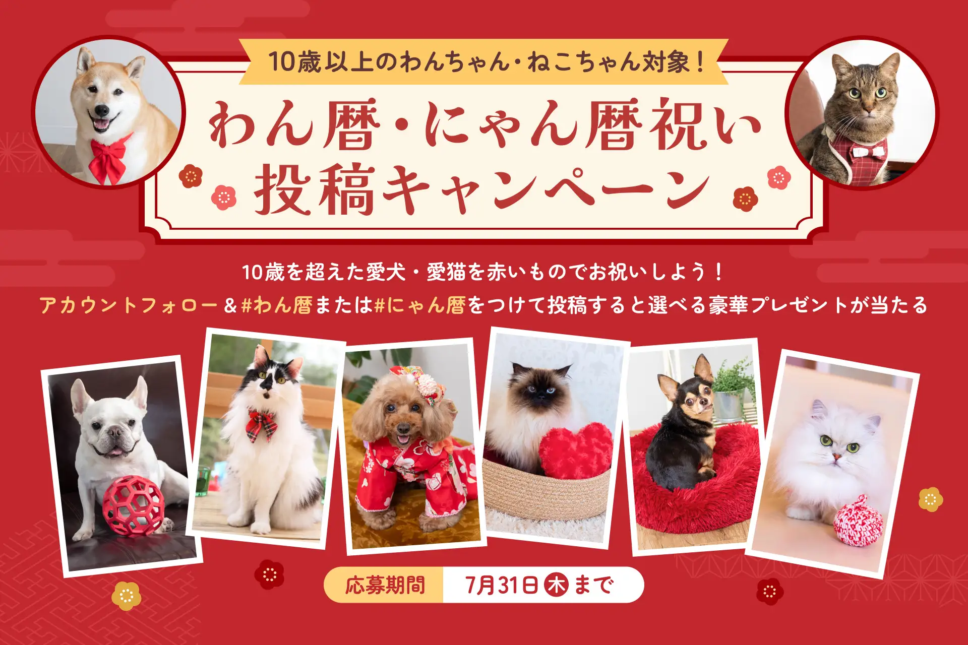 98486-33-1057397607f5d7a3baef03235c99535c-1920x1280.webp