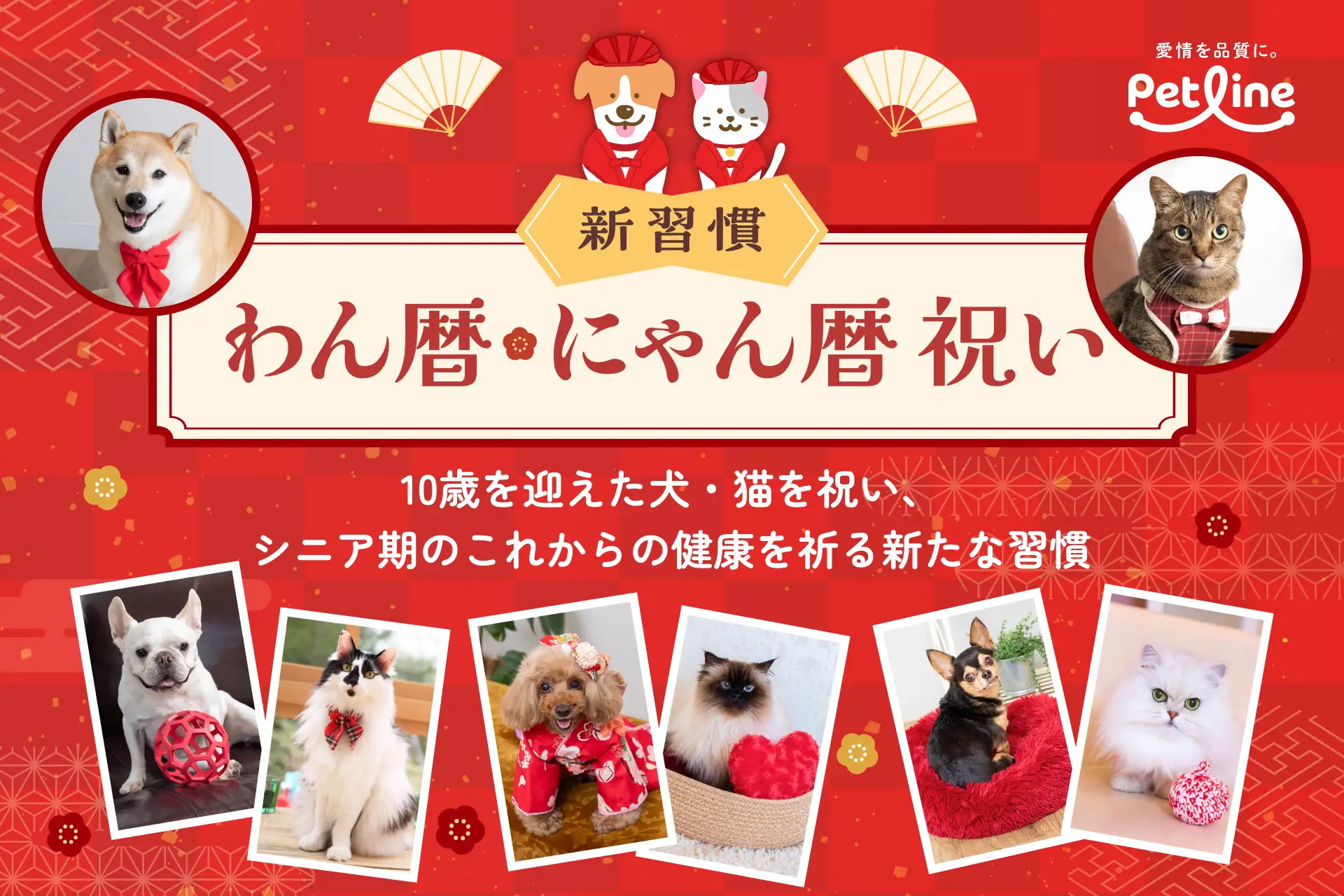 98486-33-42aaa7b326355ab2640e5eb0b23144e6-1920x1280.webp