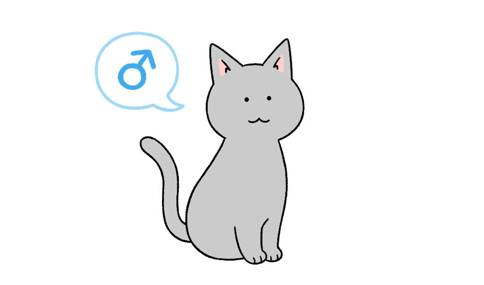 202501猫.jpg