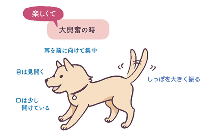 犬_202401_リライト記事31_犬 耳 感情_アイキャッチ.jpg