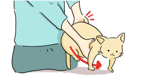 画像 (2).png