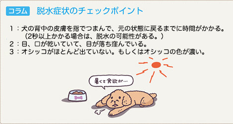 犬_202402_リライト記事35_犬 夏バテ_イラスト内文字変更.jpg