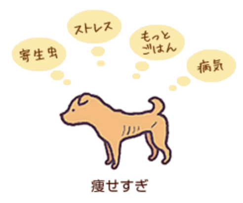 太りすぎも痩せすぎもリスクが高い 7 9 犬の肥満と体型管理 教えて犬ノート 犬のお悩みスッキリ解決 ペットライン 太りすぎも痩せすぎもリスクが高い 7 9 犬の肥満と体型管理 教えて犬ノート 犬のお悩みスッキリ解決 ペットライン