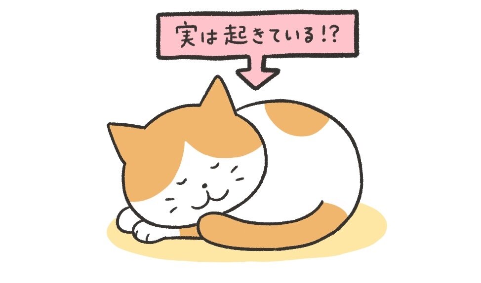 ペットライン_猫_リライト_03_イラスト.jpg