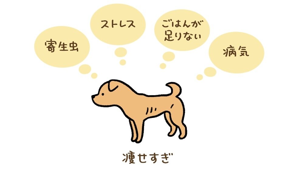 犬_202310_リライト記事_17_イラスト_本文中カット2_仕上げ.jpg