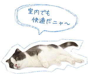 ペットライン_猫_リライト_04_7月（猫 デメリット)_最終稿2.gif