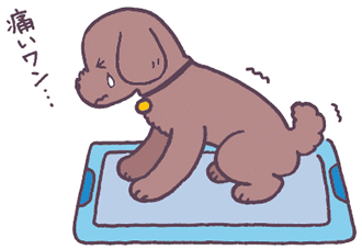 ワンちゃんのおしっこトラブルに悩んでいませんか 犬の下部尿路疾患 C L U T D って 教えて犬ノート ペットライン