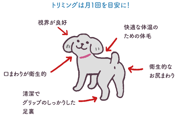 トリミングの目的と頻度 ８ １０ 教えて犬ノート 犬のお悩みスッキリ解決 ペットライン