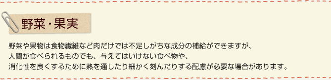犬に与えてはいけない食べ物は何 犬のおやつ 教えて犬ノート ペットライン 犬に与えてはいけない食べ物は何 犬のおやつ 教えて犬ノート ペットライン