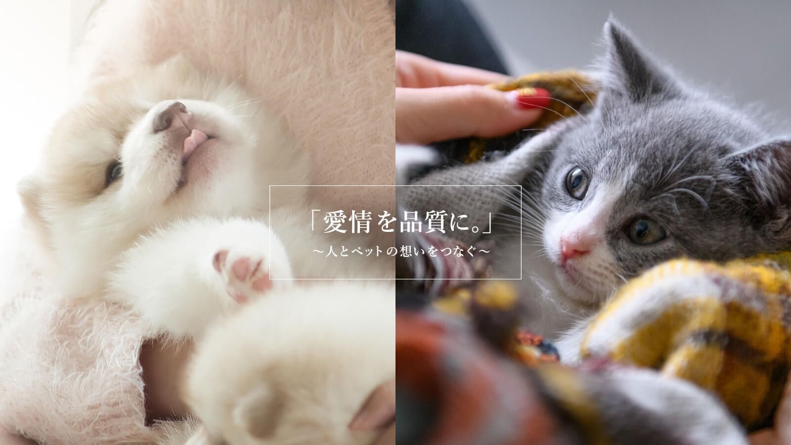 「愛情と品質に。」～人とペットの想いをつなぐ～